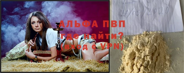 сатива Верхний Тагил